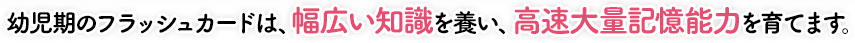 幼児期のフラッシュカードは、幅広い知識を養い、高速大量記憶能力を育てます。
