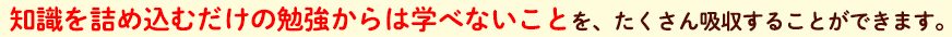 知識を詰め込むだけの勉強からは学べないことを、たくさん吸収することができます。