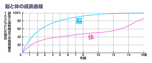 脳と体の成長曲線