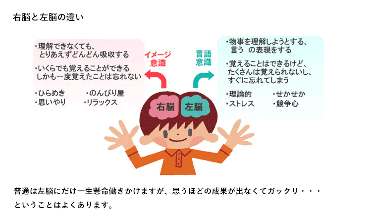 バランスのとれた全人格教育 七田式の幼児教育