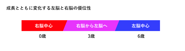 成長とともに変化する左脳と右脳の優位性