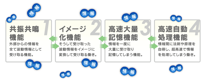 右脳の4つの機能