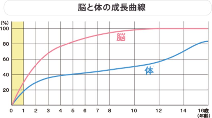 脳と体の成長曲線