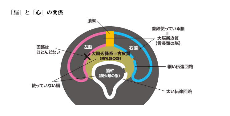 「笑う門には福来る」は本当だった！