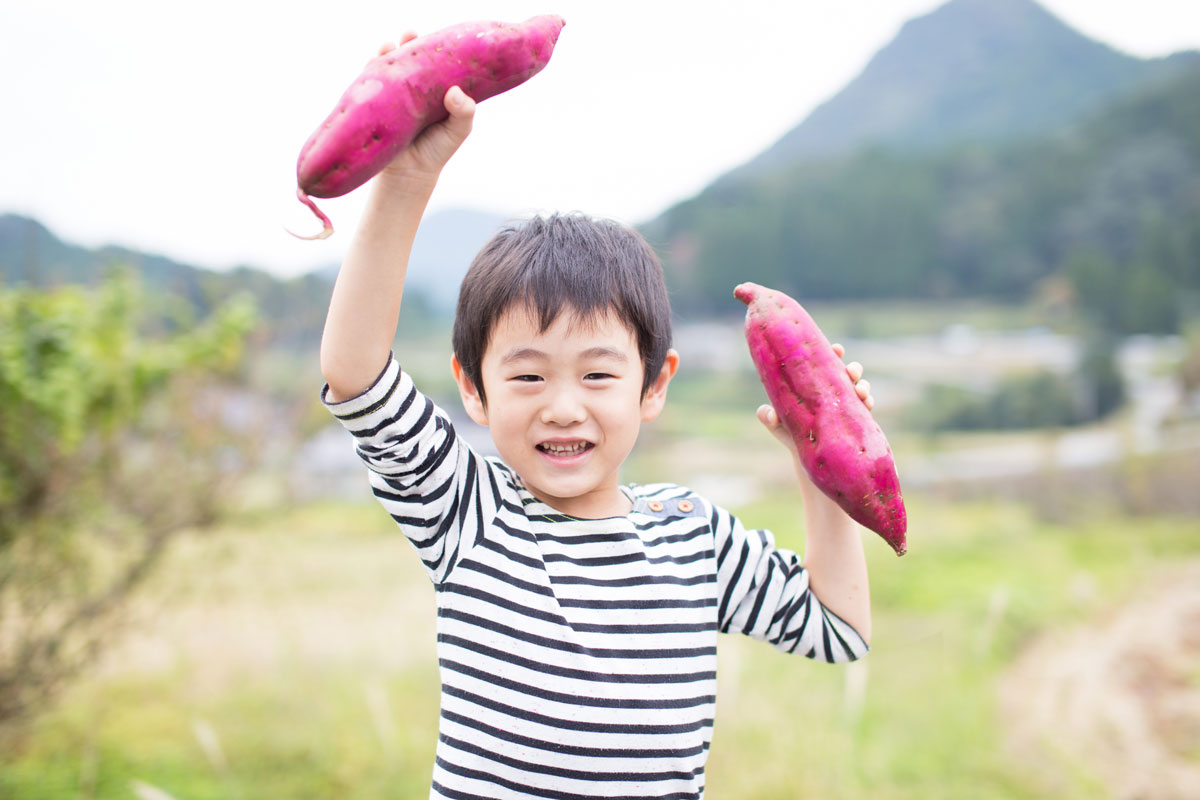 子供も大好き！秋が旬のさつまいもの栄養満点アレンジレシピ